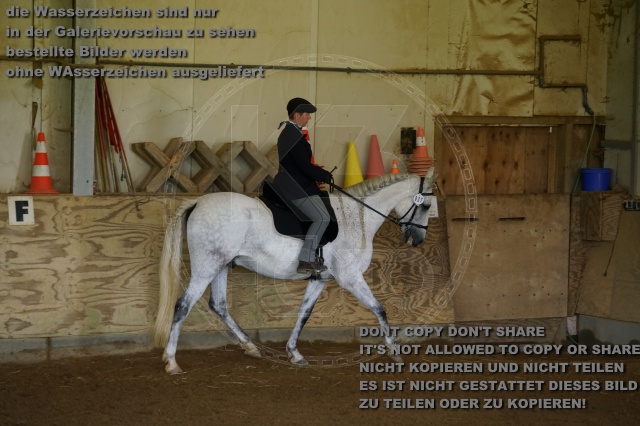 s_K3F03341.JPG